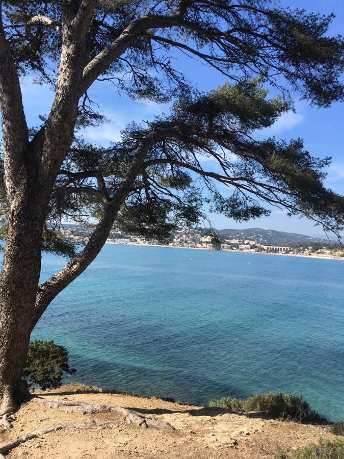 Les Galets de Sanary - Vue mer Extérieur photo